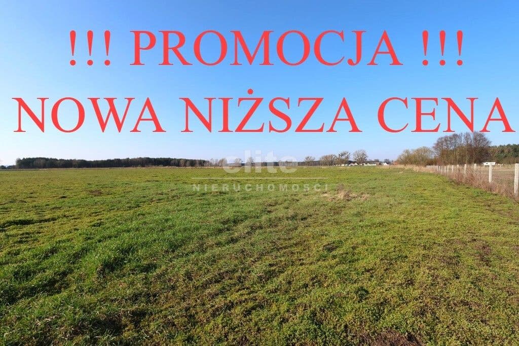 Lubczyna, Zachodniopomorskie