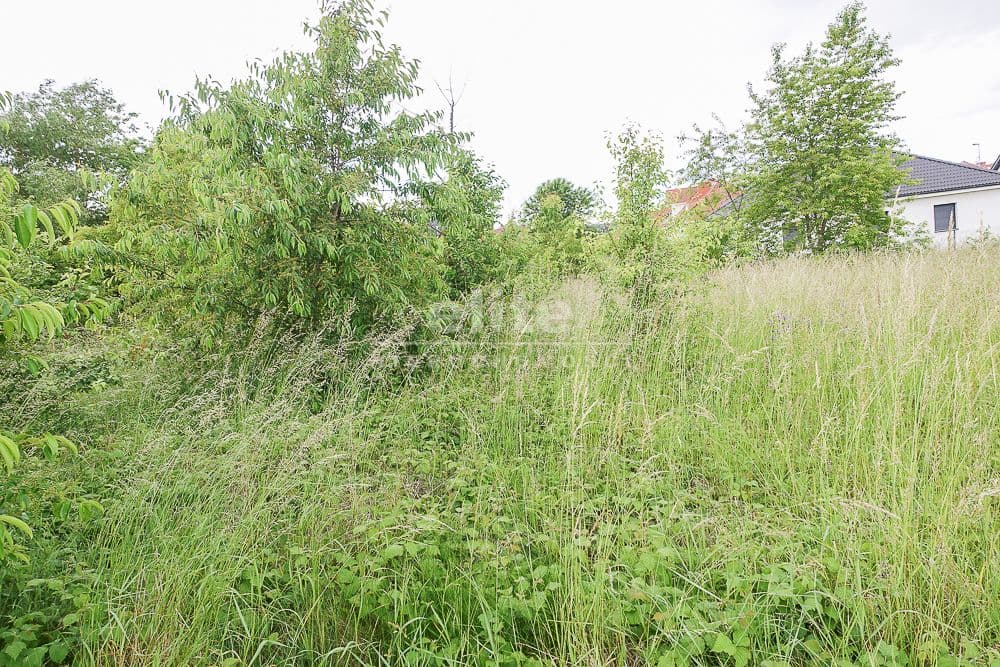 Działka na sprzedaż, Dobra, Zachodniopomorskie, 1579m2, 650 000 zł - zdjęcie 6
