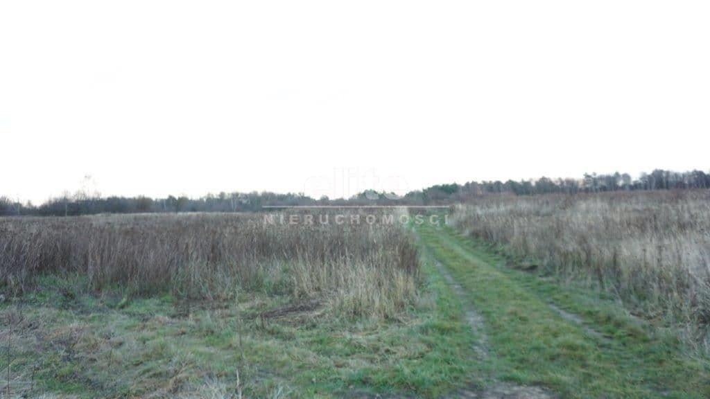 Kijewko, Szczecin