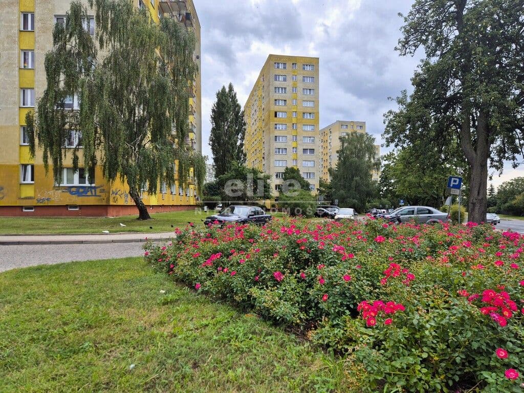 Mieszkanie na sprzedaż, Świerczewo, Szczecin, 44m2, 2 pokoje, 425 000 zł - zdjęcie 7