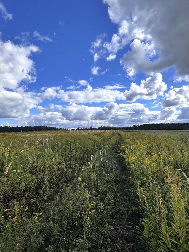 Działka na sprzedaż, Żółwia Błoć, Zachodniopomorskie, 3024m2, 169 990 zł - zdjęcie 2