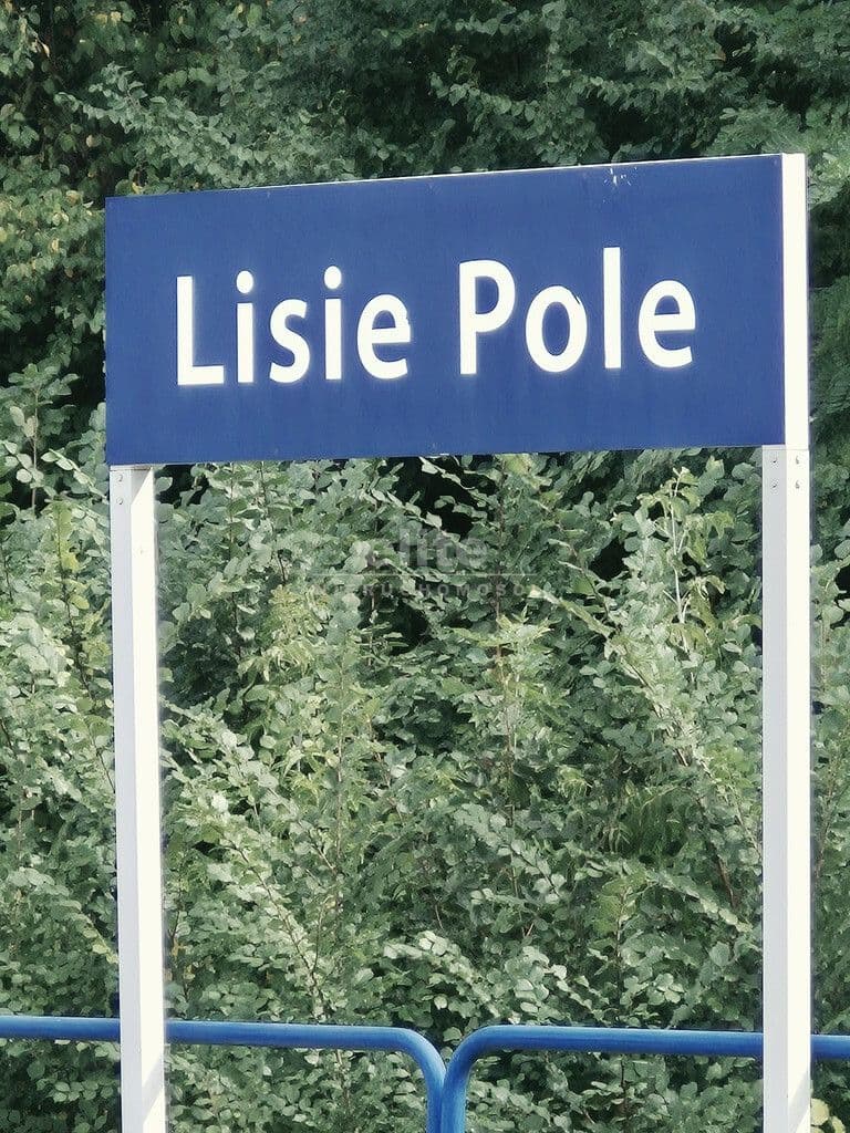 Lisie Pole, Zachodniopomorskie