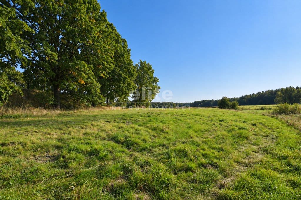 Działka na sprzedaż, Radzanek, Zachodniopomorskie, 32284m2, 449 000 zł - zdjęcie 6