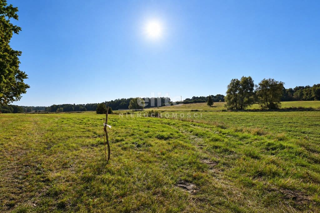 Działka na sprzedaż, Radzanek, Zachodniopomorskie, 32284m2, 449 000 zł - zdjęcie 7