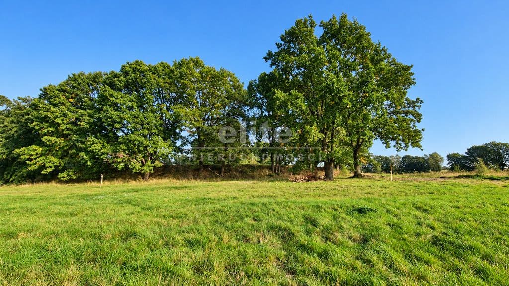 Działka na sprzedaż, Radzanek, Zachodniopomorskie, 32284m2, 449 000 zł - zdjęcie 8