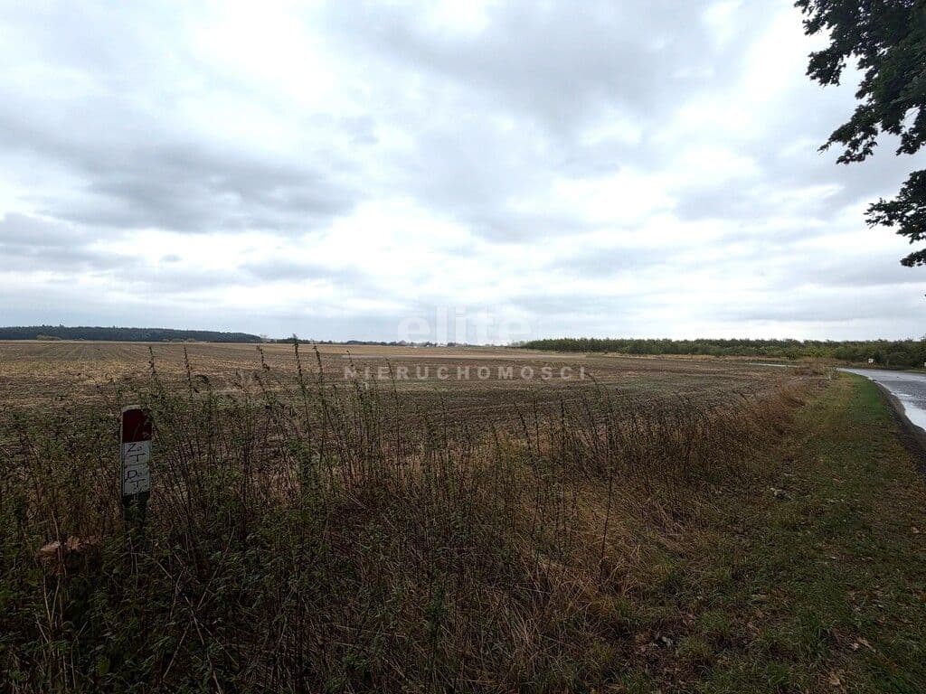 Działka na sprzedaż, Pyrzyce, Zachodniopomorskie, 17641m2, 2 646 150 zł - zdjęcie 2