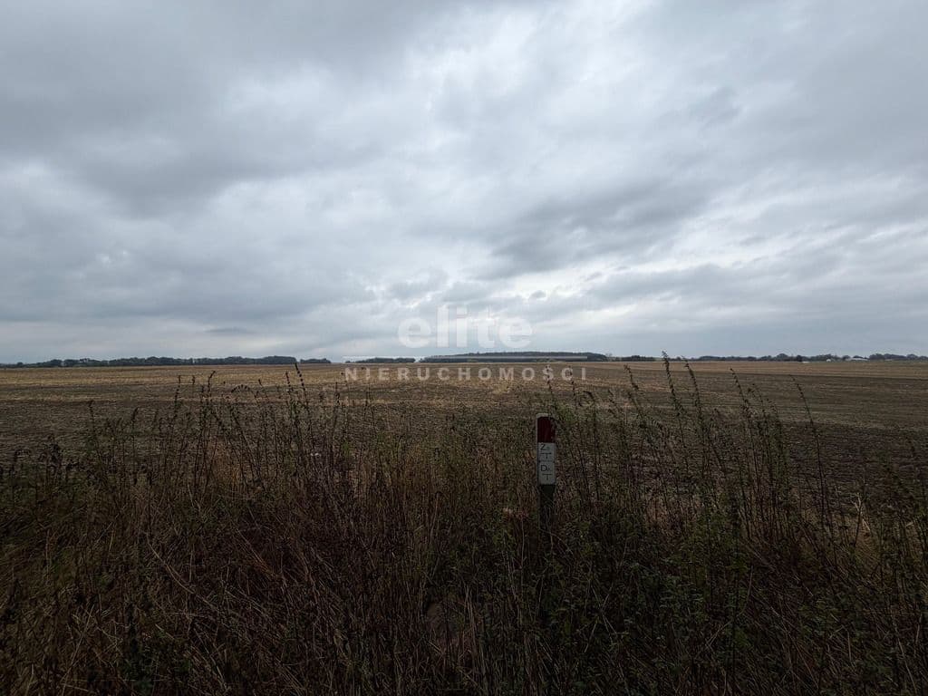 Działka na sprzedaż, Pyrzyce, Zachodniopomorskie, 17641m2, 2 646 150 zł - zdjęcie 5