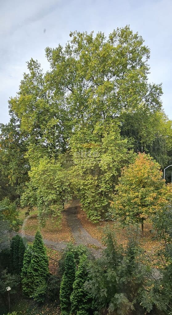 Mieszkanie na sprzedaż, Niebuszewo, Szczecin, 40m2, 2 pokoje, 425 000 zł - zdjęcie 10