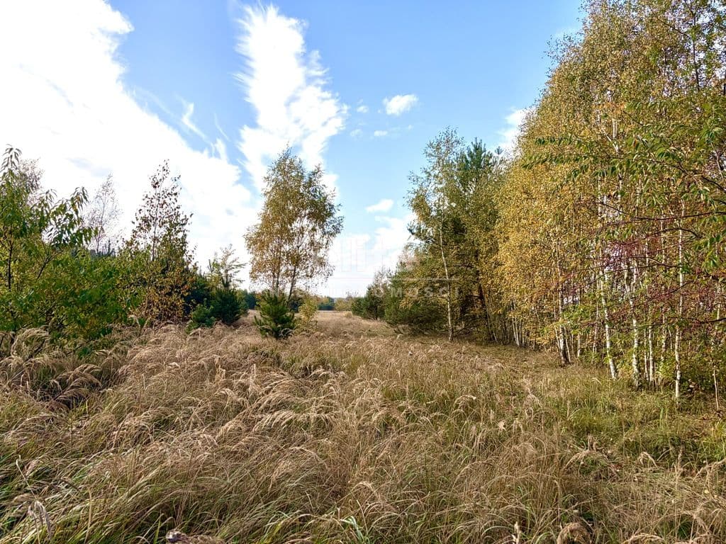 Działka na sprzedaż, Miękowo, Zachodniopomorskie, 3980m2, 796 000 zł - zdjęcie 4