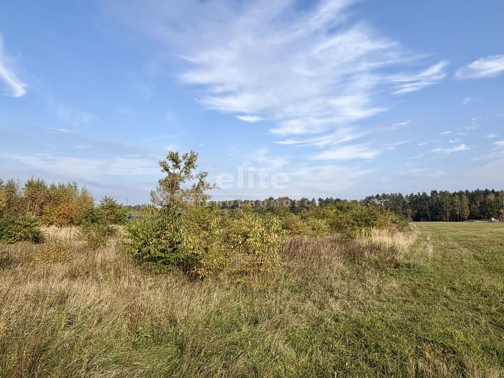 Działka na sprzedaż, Miękowo, Zachodniopomorskie, 3980m2, 796 000 zł - zdjęcie 10