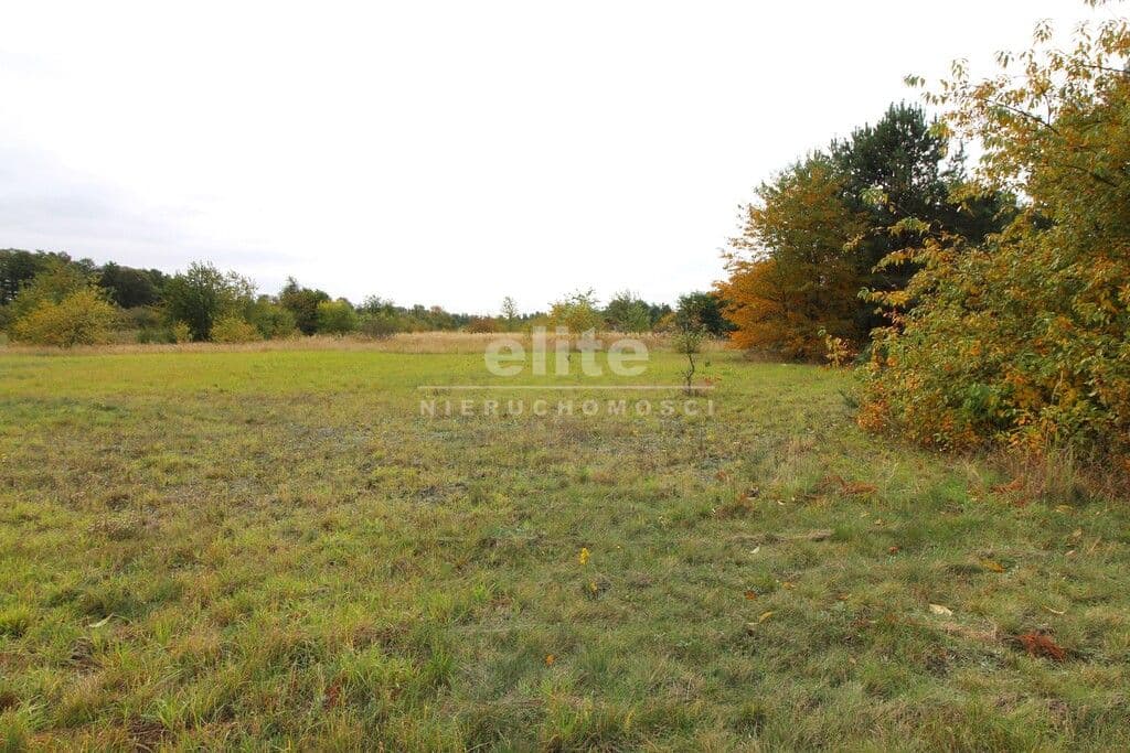 Działka na sprzedaż, Jęczydół, Zachodniopomorskie, 9728m2, 380 000 zł - zdjęcie 1