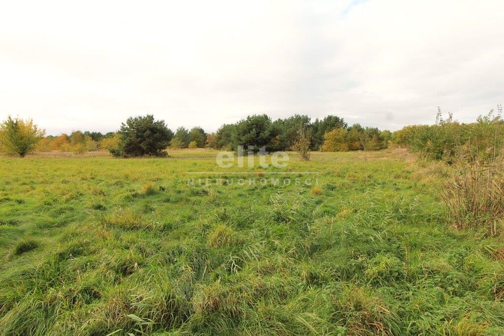 Działka na sprzedaż, Jęczydół, Zachodniopomorskie, 9728m2, 380 000 zł - zdjęcie 2