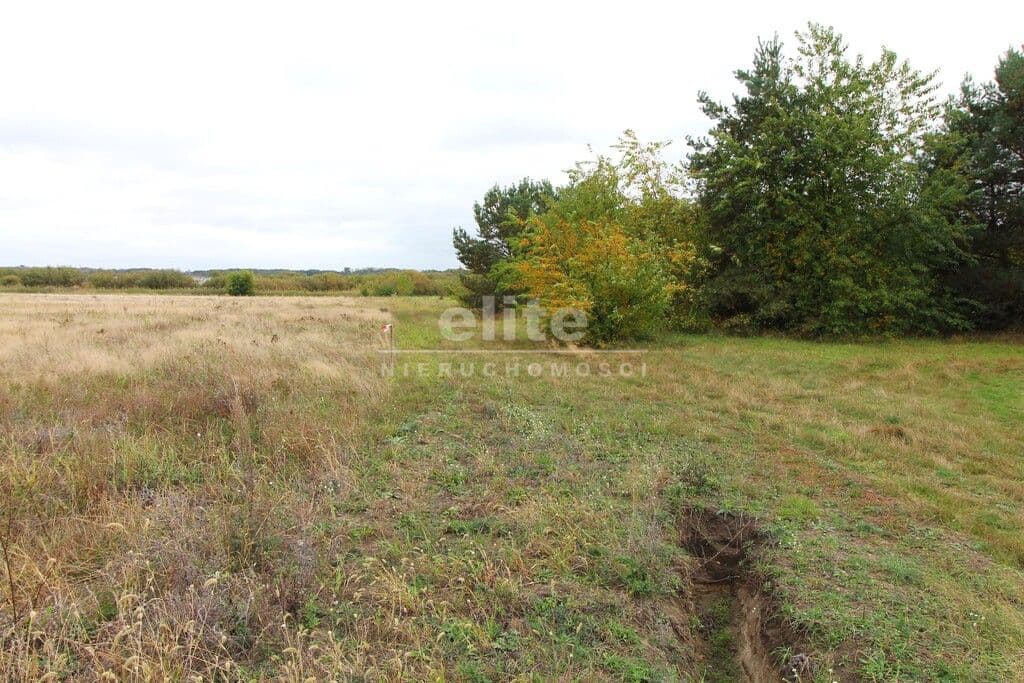 Działka na sprzedaż, Jęczydół, Zachodniopomorskie, 9728m2, 380 000 zł - zdjęcie 4