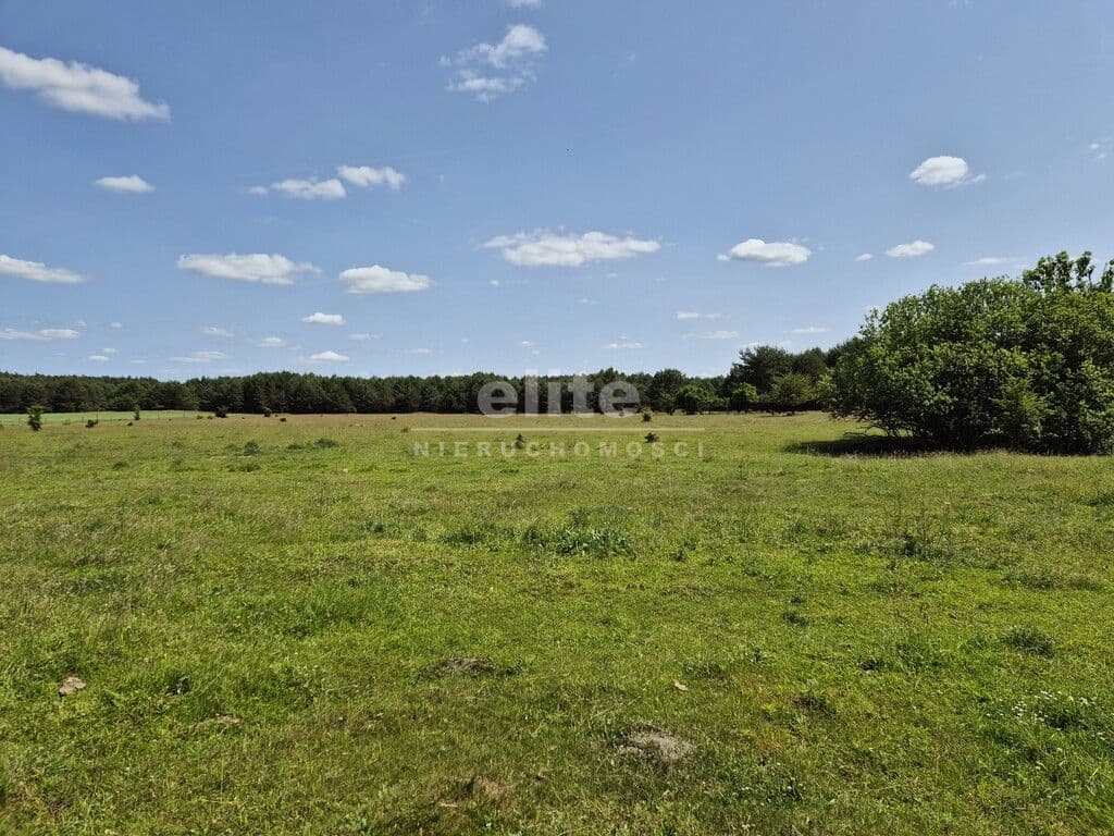 Działka na sprzedaż, Ostrowiec, Zachodniopomorskie, 3016m2, 160 000 zł - zdjęcie 8