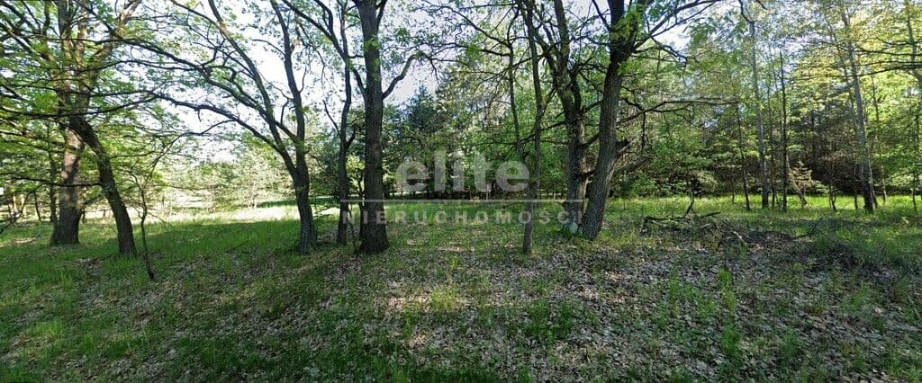 Działka na sprzedaż, Ostrowiec, Zachodniopomorskie, 1004m2, 99 000 zł - zdjęcie 3