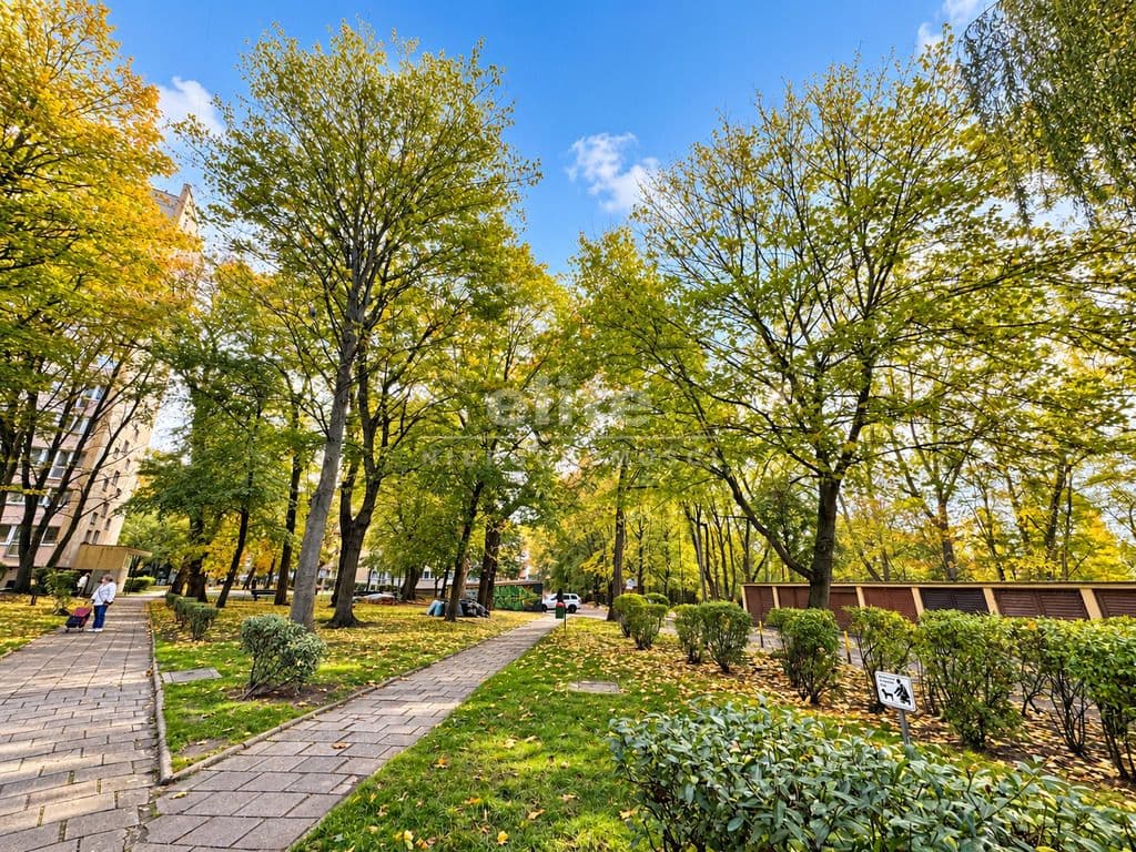 Mieszkanie na sprzedaż, Śródmieście, Szczecin, 48m2, 2 pokoje, 409 000 zł - zdjęcie 13