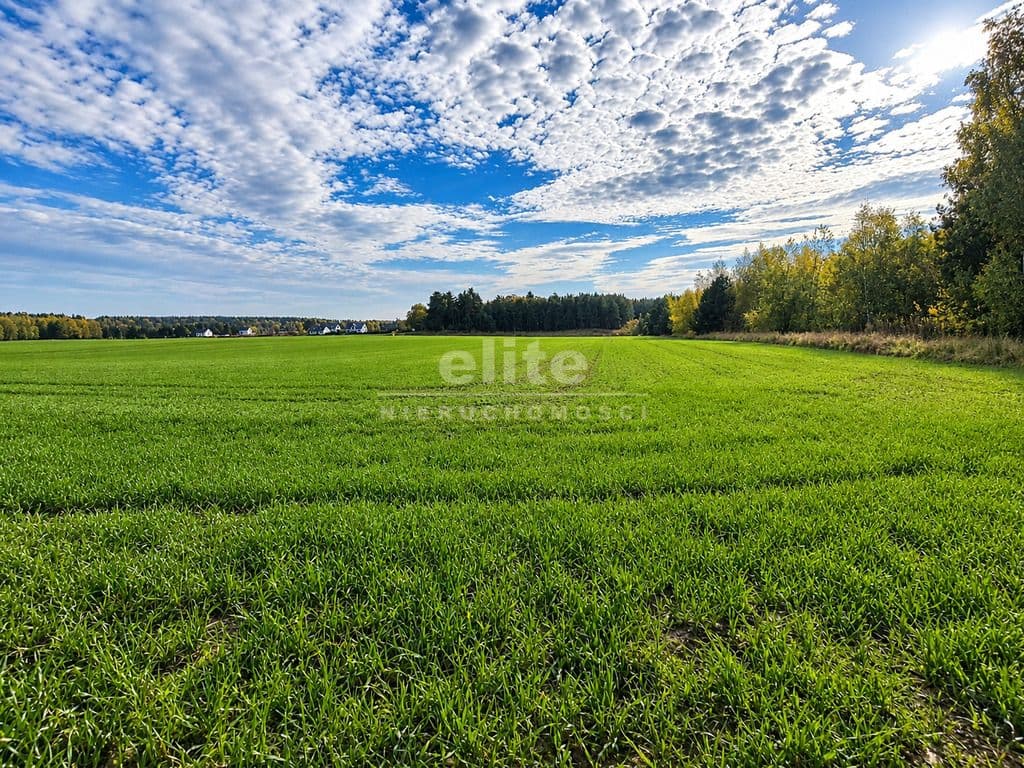 Działka na sprzedaż, Grabowo, Zachodniopomorskie, 1069m2, 85 520 zł - zdjęcie 4