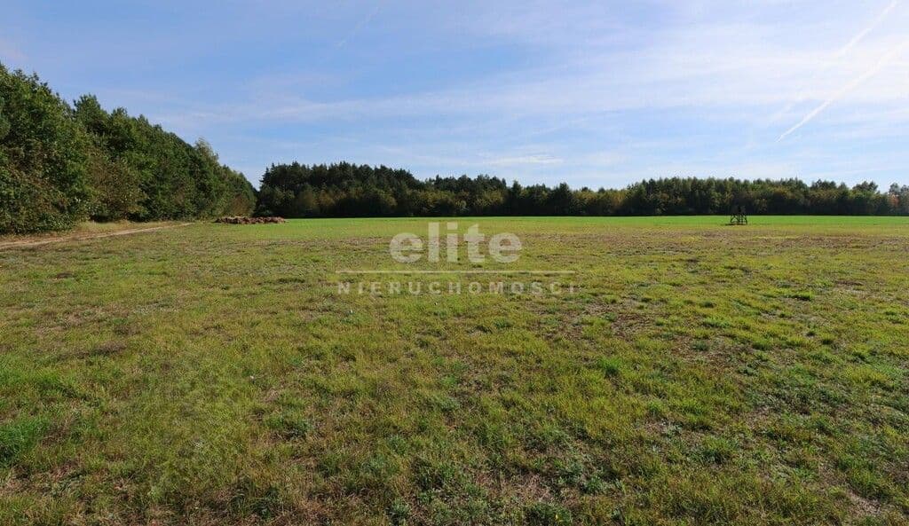 Działka na sprzedaż, Żarnowo, Zachodniopomorskie, 3139m2, 47 085 zł - zdjęcie 5