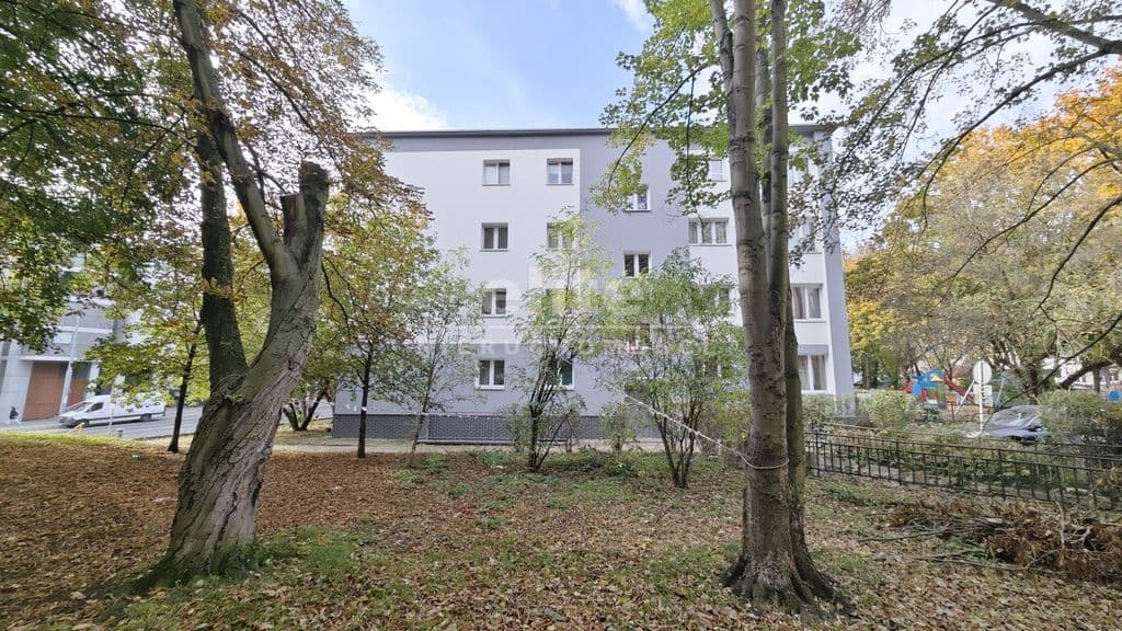 Lokal na wynajem, Stare Miasto, Szczecin, 61m2, 3400 zł - zdjęcie 17