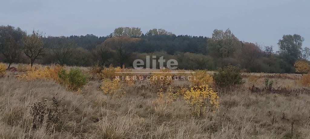 Działka na sprzedaż, Żelewo, Zachodniopomorskie, 7615m2, 989 950 zł - zdjęcie 4