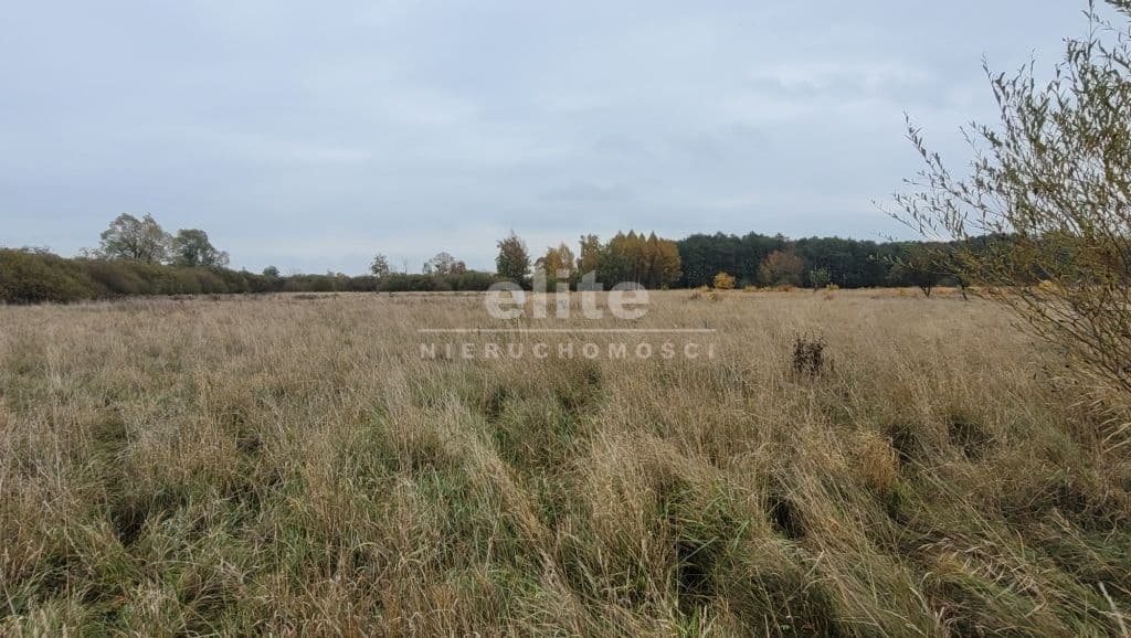 Działka na sprzedaż, Żelewo, Zachodniopomorskie, 7615m2, 989 950 zł - zdjęcie 5