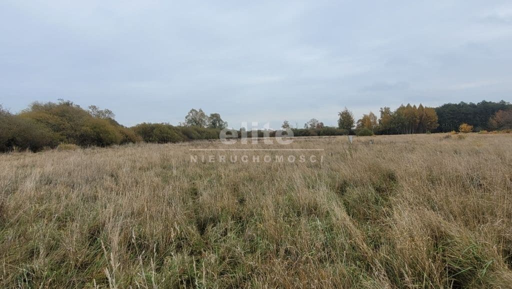 Działka na sprzedaż, Żelewo, Zachodniopomorskie, 7615m2, 989 950 zł - zdjęcie 6
