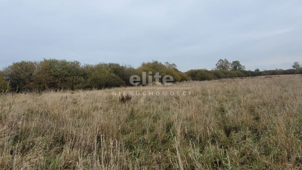 Działka na sprzedaż, Żelewo, Zachodniopomorskie, 7615m2, 989 950 zł - zdjęcie 7