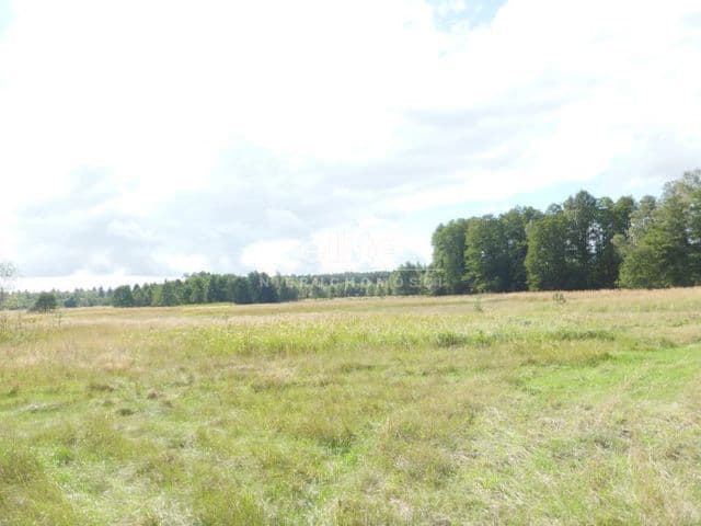 Grzepnica, Zachodniopomorskie