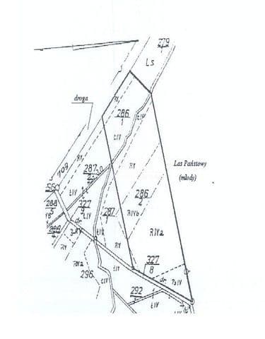 Lisie Pole, Zachodniopomorskie