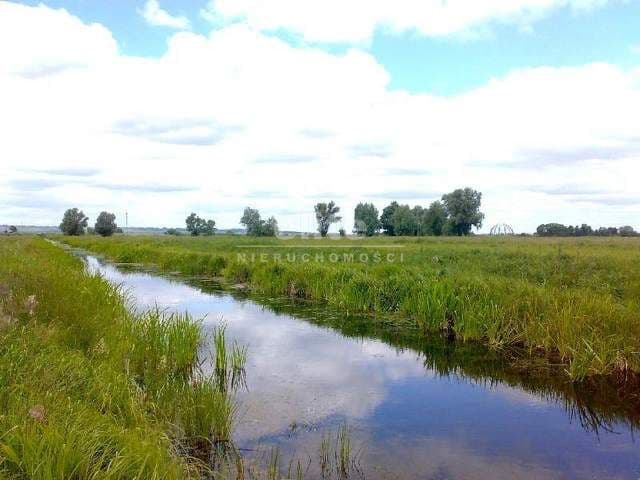 Lubczyna, Zachodniopomorskie