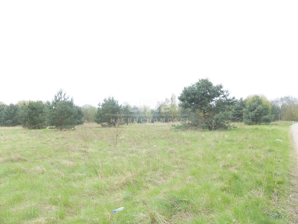 Tanowo, Zachodniopomorskie