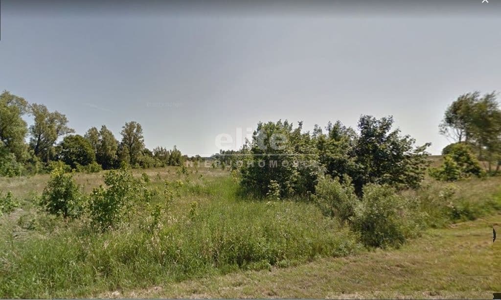 Żelechowa, Szczecin