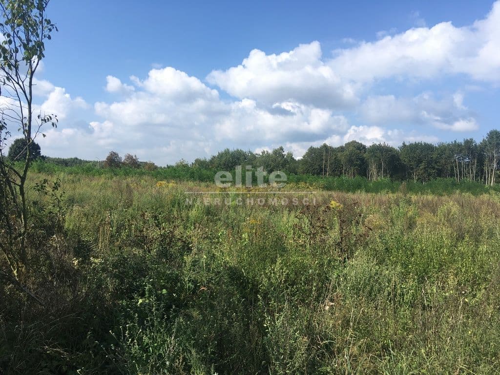 Police, Zachodniopomorskie