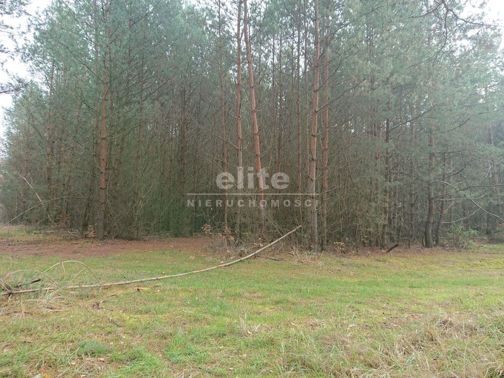 Starzyce, Zachodniopomorskie