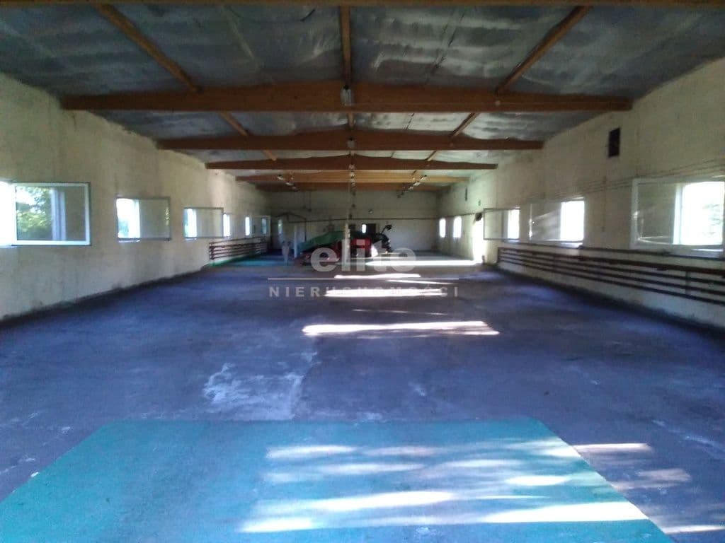 Niedźwiedź, Zachodniopomorskie