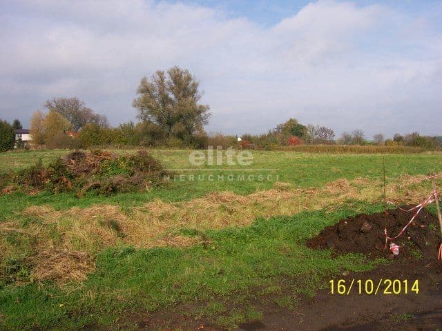 Choszczno, Zachodniopomorskie