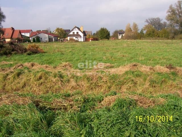 Choszczno, Zachodniopomorskie