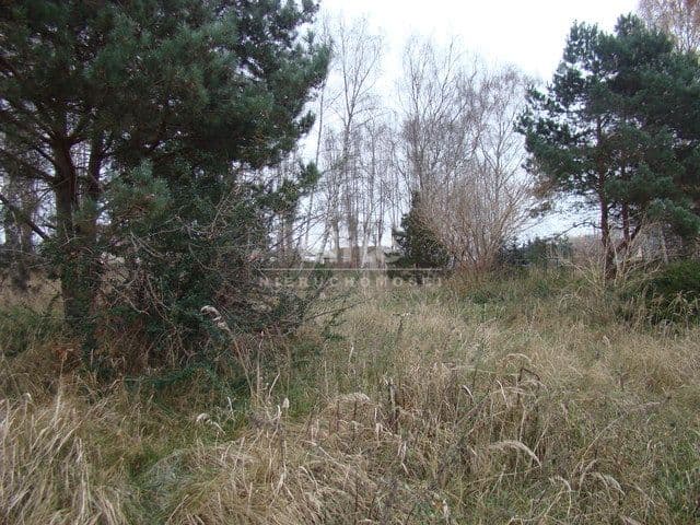 Pniewo, Zachodniopomorskie