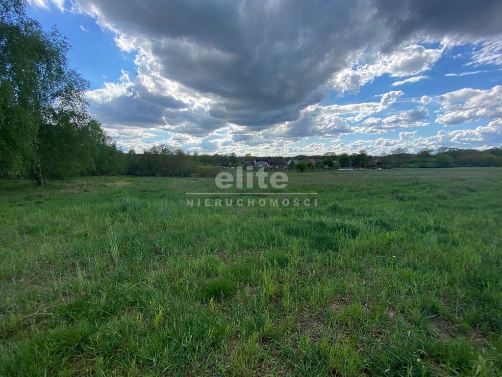 Rogowo, Zachodniopomorskie