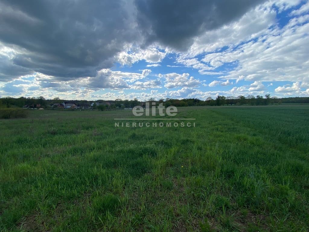 Rogowo, Zachodniopomorskie