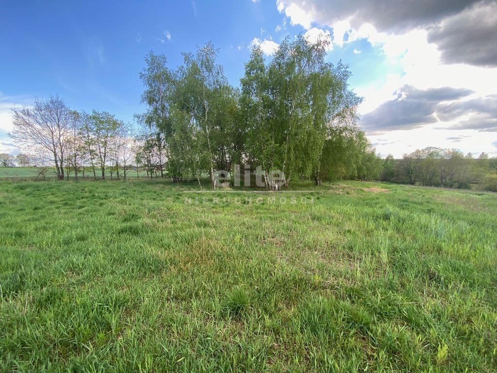 Rogowo, Zachodniopomorskie