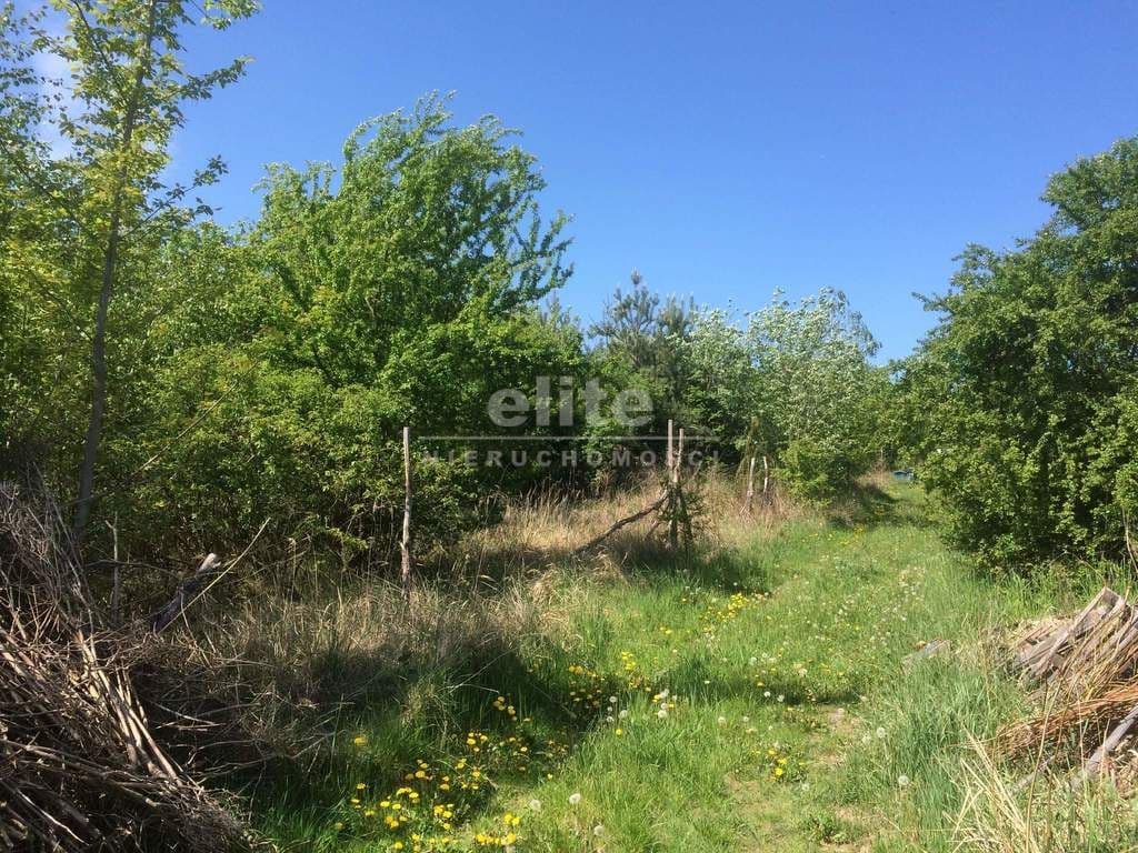 Stare Czarnowo, Zachodniopomorskie