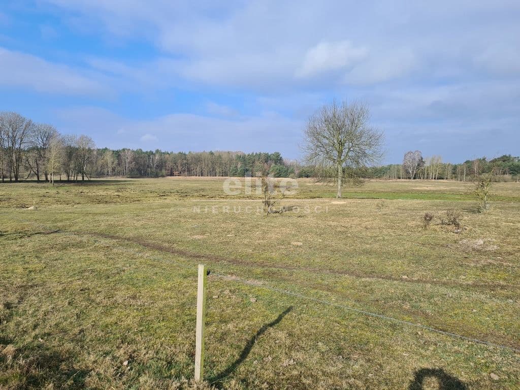 Tanowo, Zachodniopomorskie