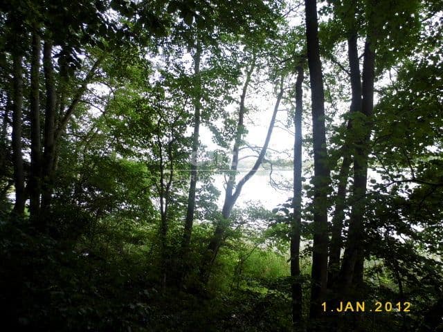 Zabierzewo, Zachodniopomorskie