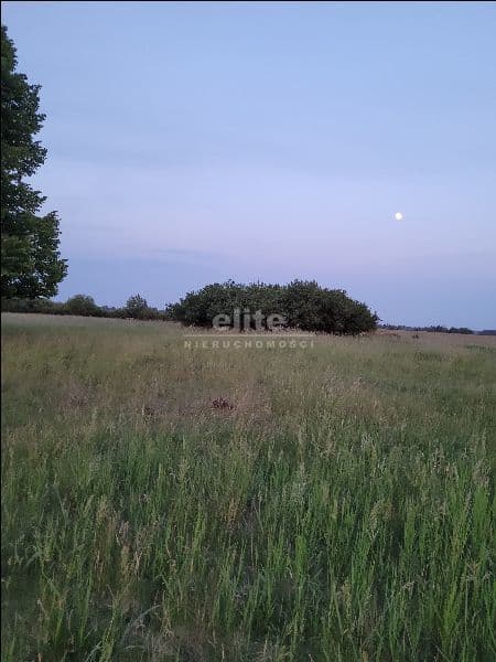 Lubczyna, Zachodniopomorskie