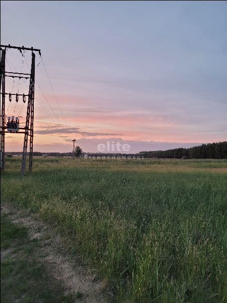 Lubczyna, Zachodniopomorskie