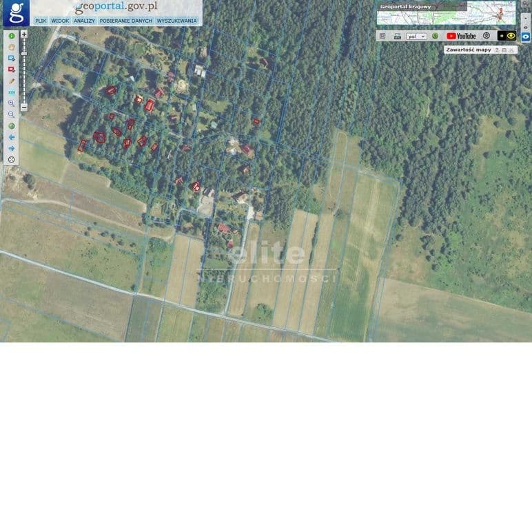 Bizoręda, Świętokrzyskie