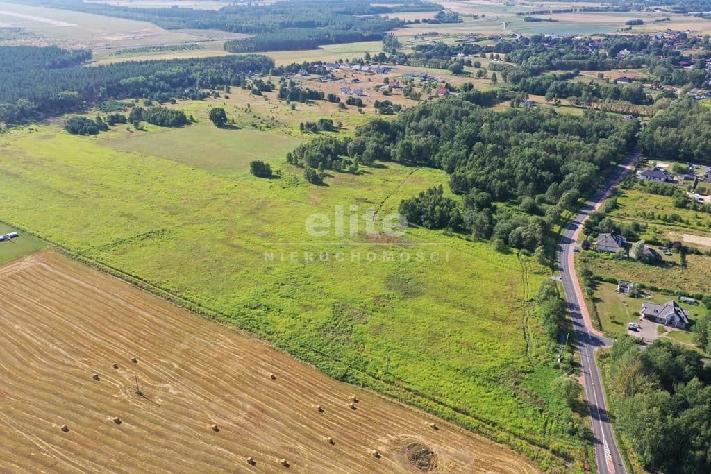 Żółwia Błoć, Zachodniopomorskie