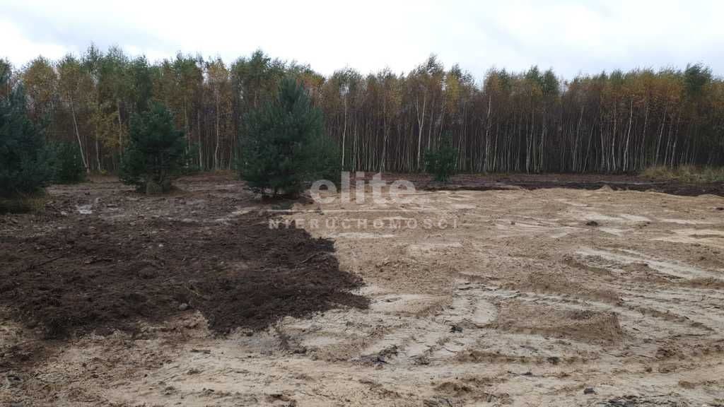 Borzyszewo, Zachodniopomorskie