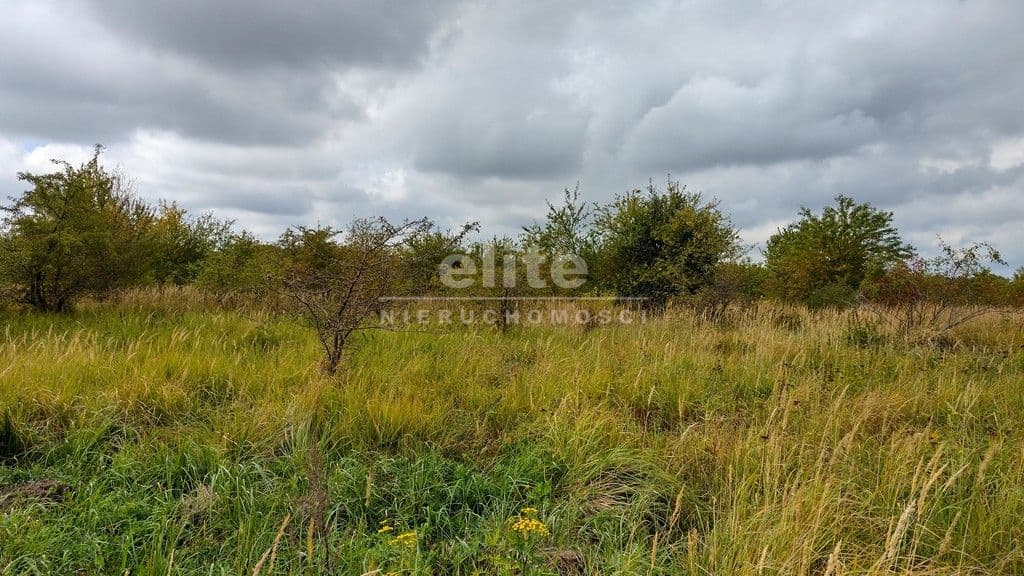 Kołowo, Zachodniopomorskie